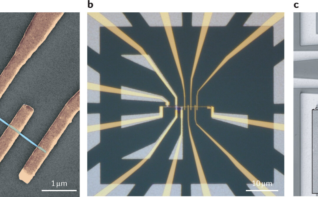 Nature Reviews Physics: Oliver Breunig and Yoichi Ando review opportunities of topological insulator devices